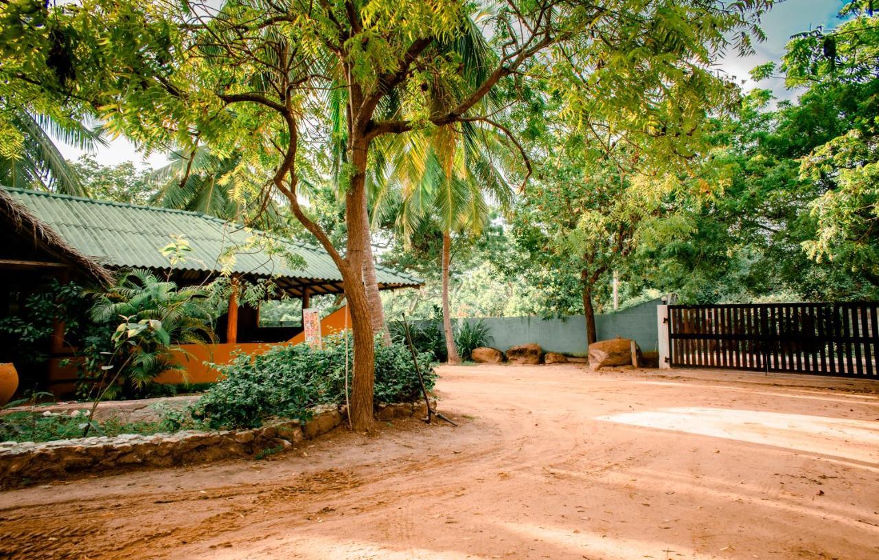 Sarada Beach Resort Yala Tissamaharama Eksteriør bilde