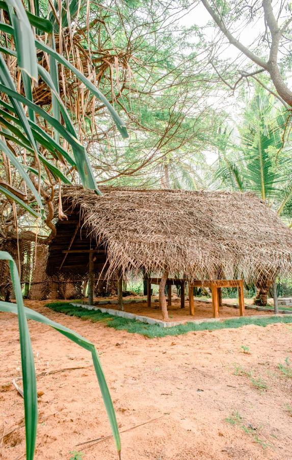 Sarada Beach Resort Yala Tissamaharama Eksteriør bilde