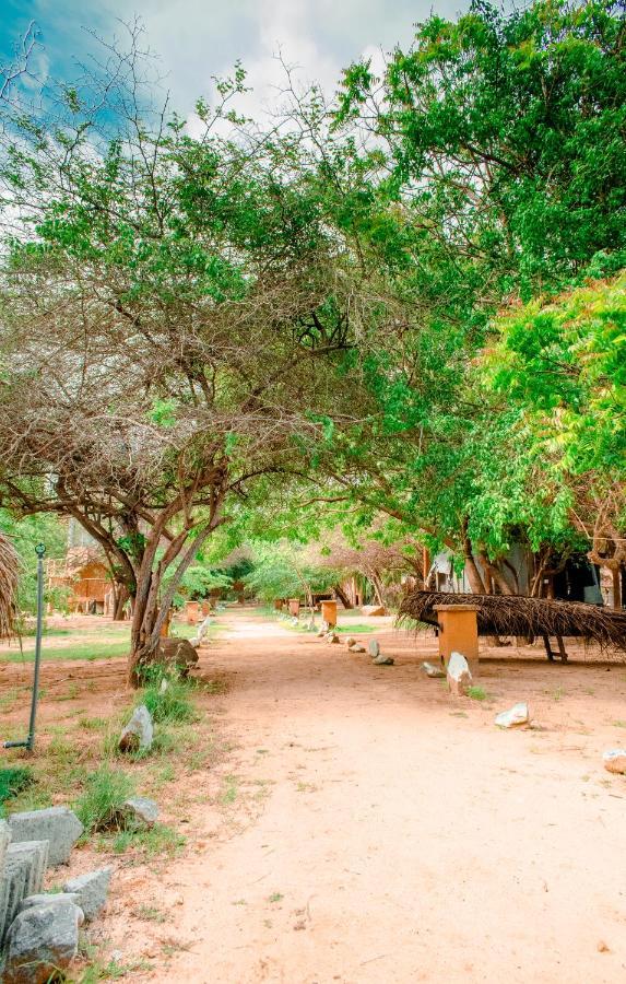 Sarada Beach Resort Yala Tissamaharama Eksteriør bilde