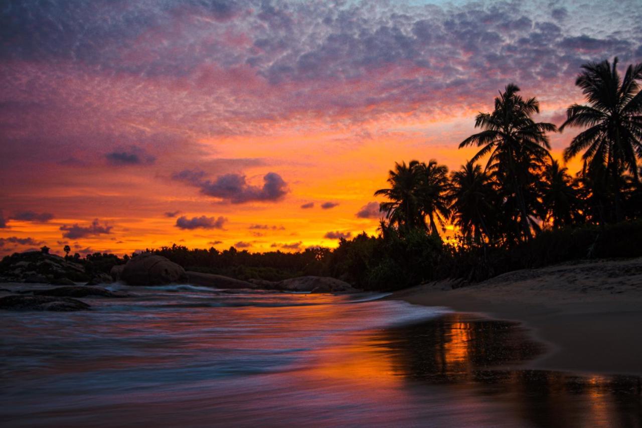Sarada Beach Resort Yala Tissamaharama Eksteriør bilde