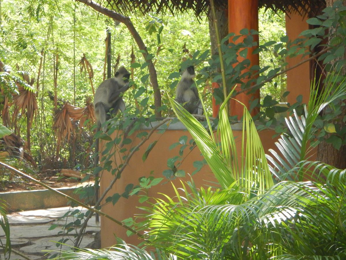 Sarada Beach Resort Yala Tissamaharama Eksteriør bilde